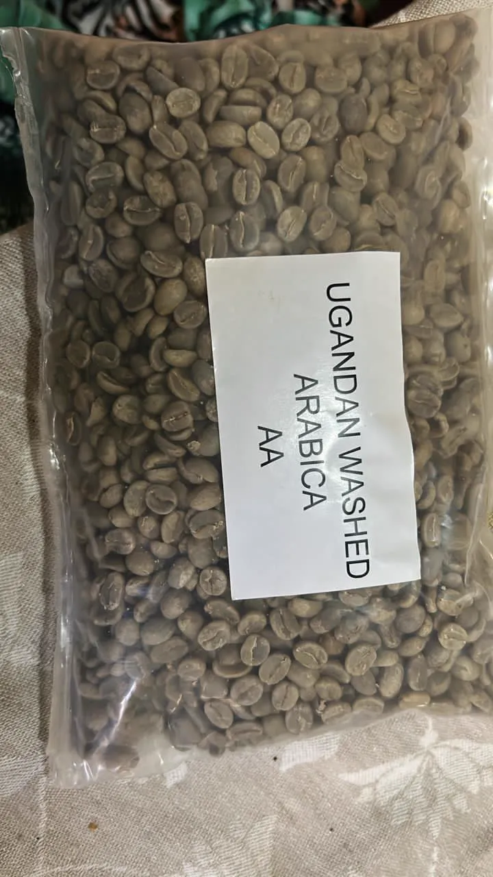 Arabica Coffee Beans Uganda — Kims & Kiff Export