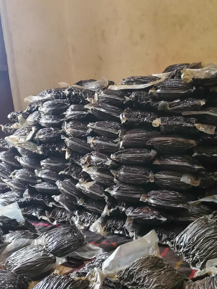 Premium Vanilla Beans from Uganda Highlands